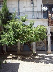 ORAN 2010  ECOLE SEDIMAN (9)